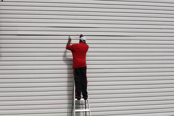 Best Aluminum Siding Installation  in Cornville, AZ